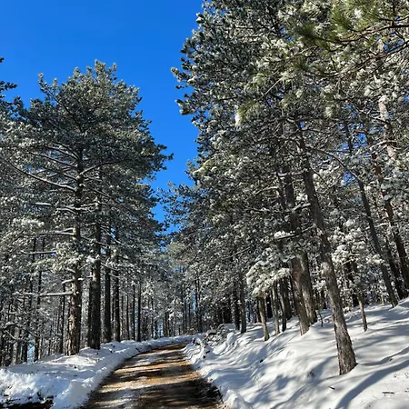 Borovi 11 Apartament Divčibare