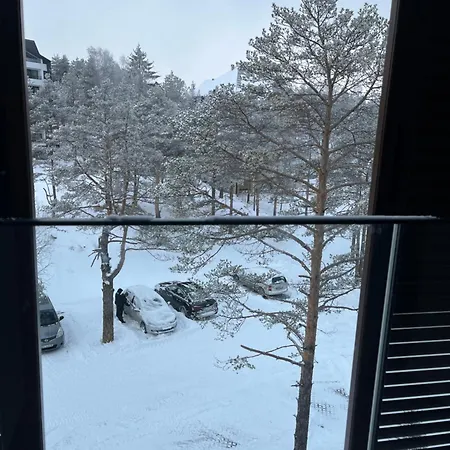 Borovi 11 Divčibare