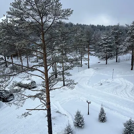 Borovi 11 Apartament *