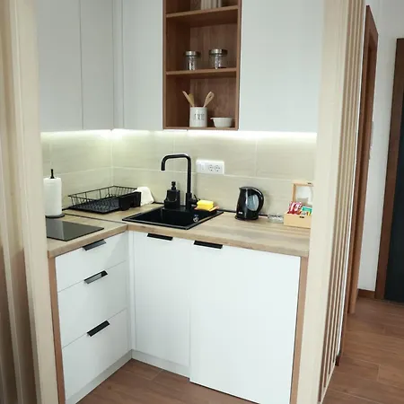 Apartament Borovi 11 *