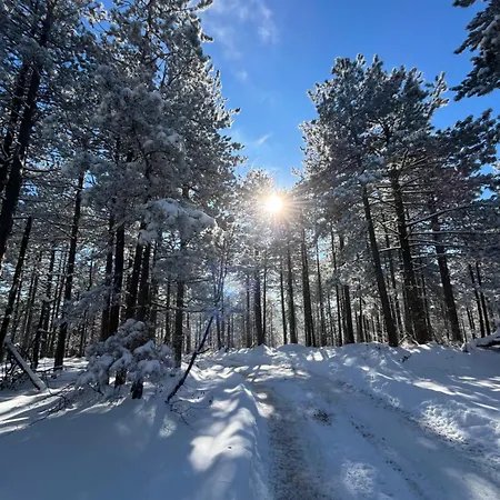 Borovi 11 Apartament *