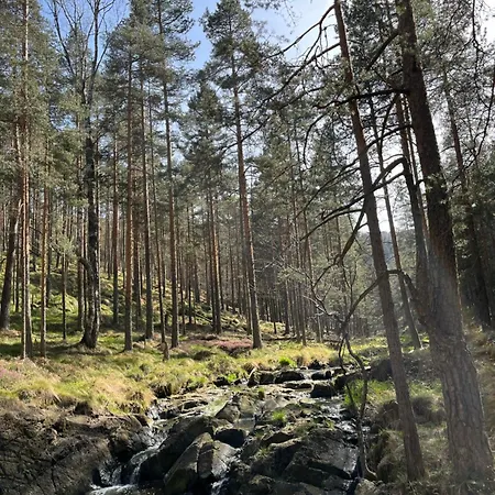 Borovi 11 * Divčibare